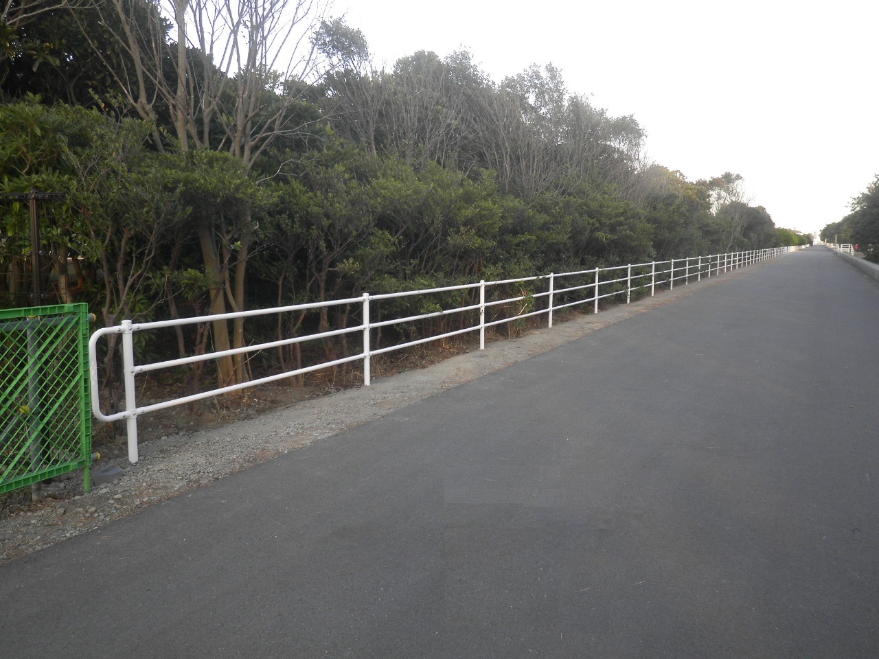 海浜公園後